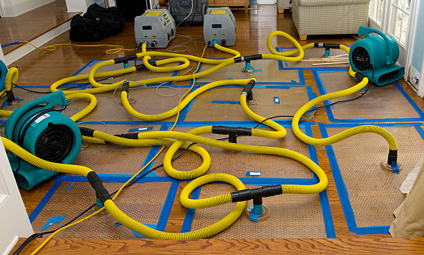 Professional Water Damage Repair technician working in Karns City, PA